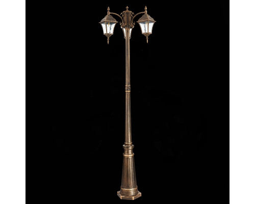 Дополнительное фото Светильник уличный ST Luce Domenico SL082.205.03: Купить в Интернет магазин освещения GCSVET.RU