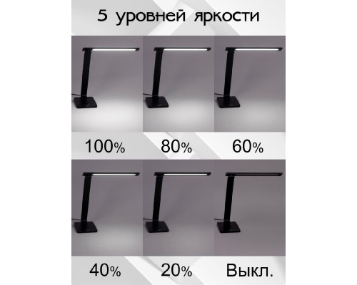 Дополнительное фото Лампа настольная Citilux Ньютон CL803081: Купить в Интернет магазин освещения GCSVET.RU