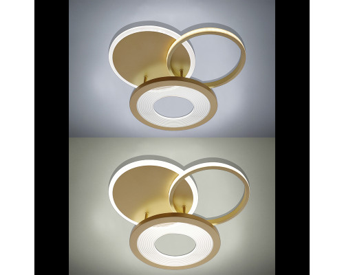 Дополнительное фото Люстра потолочная Natali Kovaltseva LED LAMPS 81300: Купить в Интернет магазин освещения GCSVET.RU