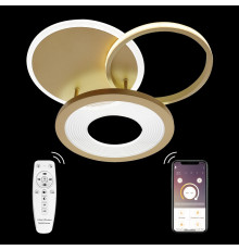 Люстра потолочная Natali Kovaltseva LED LAMPS 81300