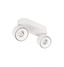 Накладной Светильник спот Loft IT Focus 10323/2A White