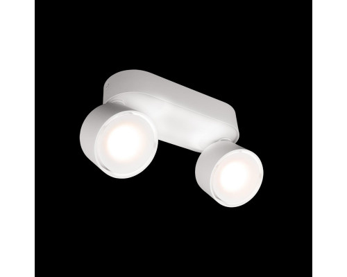 Дополнительное фото Накладной Светильник спот Loft IT Focus 10323/2A White: Купить в Интернет магазин освещения GCSVET.RU
