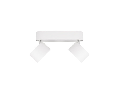 Дополнительное фото Накладной Светильник спот Loft IT Focus 10323/2A White: Купить в Интернет магазин освещения GCSVET.RU