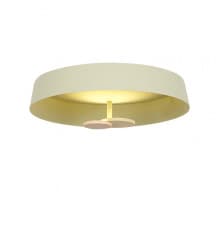 Светильник потолочный DeLight Collection MX19001031-1A yellow