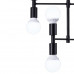 Дополнительное фото Люстра потолочная Natali Kovaltseva LOFT LUX 75129/12C BLACK: Купить в Интернет магазин освещения GCSVET.RU