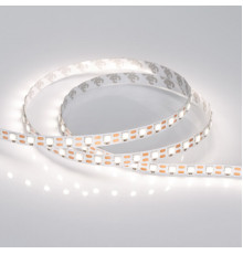 Лента светодиодная Arlight RT-B72-10mm 12V Day4000-CX1 (15.6 W/m, IP20, 5060, 5m) 016841(2)