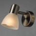 Дополнительное фото Светильник спот Arte Lamp Parry A5062AP-1SS: Купить в Интернет магазин освещения GCSVET.RU