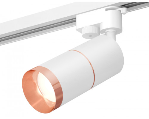 Основное фото Светильник трековый (однофазный) Ambrella Light Track System XT6301031 (A2520, C6301, A2063, C6301, N6135): Купить в Интернет магазин освещения GCSVET.RU