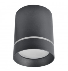 Светильник накладной Arte Lamp Elle A1949PL-1BK