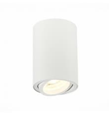 Светильник потолочный ST LUCE ST108.507.01
