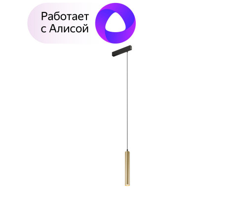Основное фото Светильник трековый Denkirs Smart DK8008-BG: Купить в Интернет магазин освещения GCSVET.RU