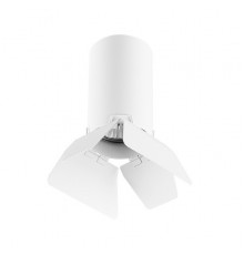 Светильник потолочный Lightstar RULLO R436436 (214436+202436)