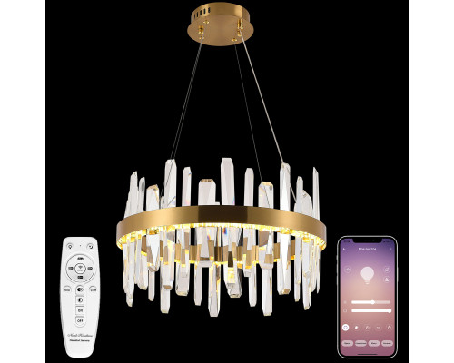 Основное фото Люстра подвесная Natali Kovaltseva LED LAMPS 81254: Купить в Интернет магазин освещения GCSVET.RU