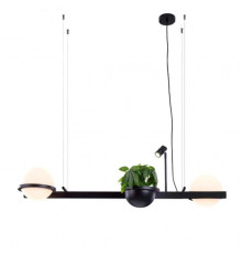 Светильник подвесной Delight Collection 10228P/S black