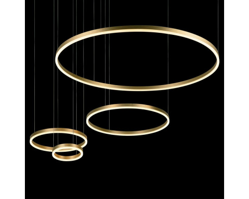 Дополнительное фото Светильник подвесной LED Loft IT Ring 10017/4L: Купить в Интернет магазин освещения GCSVET.RU