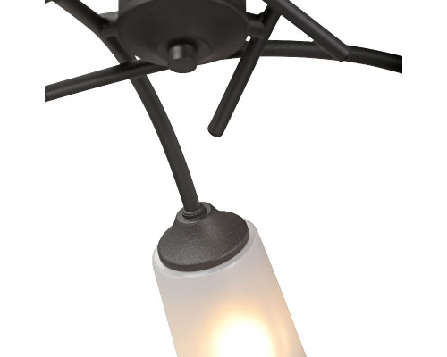 Дополнительное фото Люстра потолочная Vitaluce V2850-1/5PL: Купить в Интернет магазин освещения GCSVET.RU