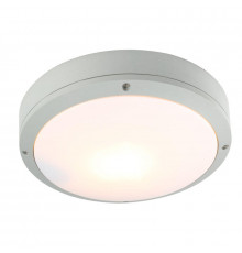 Светильник уличный Arte Lamp City A8154PF-2GY