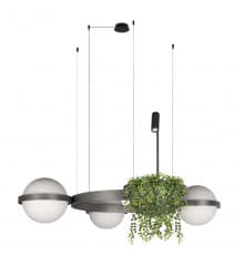 Люстра подвесная Loft IT Jardin 10121/3 Dark grey