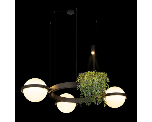 Дополнительное фото Люстра подвесная Loft IT Jardin 10121/3 Dark grey: Купить в Интернет магазин освещения GCSVET.RU