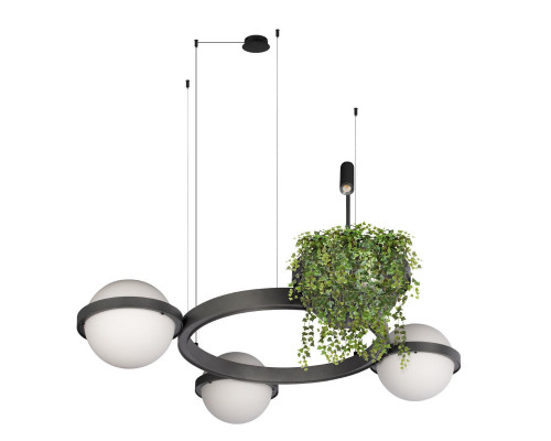 Дополнительное фото Люстра подвесная Loft IT Jardin 10121/3 Dark grey: Купить в Интернет магазин освещения GCSVET.RU