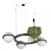 Дополнительное фото Люстра подвесная Loft IT Jardin 10121/3 Dark grey: Купить в Интернет магазин освещения GCSVET.RU
