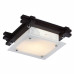 Дополнительное фото Светильник потолочный Arte Lamp 94 A6462PL-1CK: Купить в Интернет магазин освещения GCSVET.RU