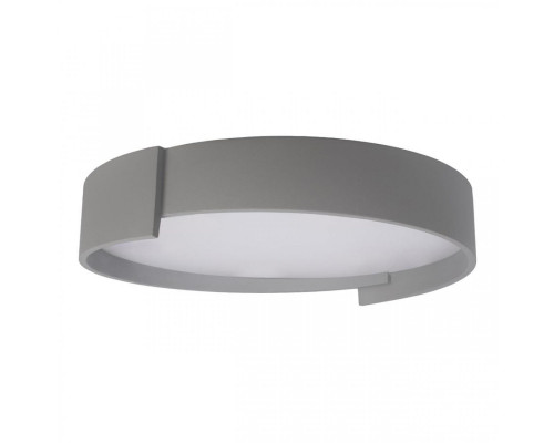 Основное фото Светильник потолочный Loft IT Coin 10200 Grey: Купить в Интернет магазин освещения GCSVET.RU