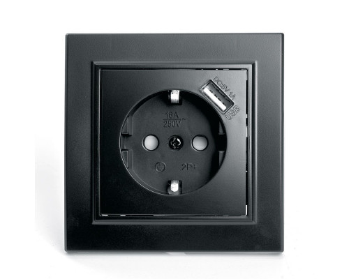 Основное фото Розетка 1-местная с USB Stekker PST16-9011-03 с защитной шторкой 39480: Купить в Интернет магазин освещения GCSVET.RU