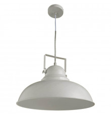 Светильник подвесной Arte Lamp Martin A5213SP-1WG