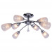Дополнительное фото Люстра потолочная Arte Lamp Giulia A6198PL-8CC: Купить в Интернет магазин освещения GCSVET.RU