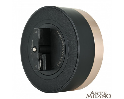 Дополнительное фото Трековая розетка Arte Milano Am-track-sockets 380066TS LED/USB-Type-C Gold: Купить в Интернет магазин освещения GCSVET.RU