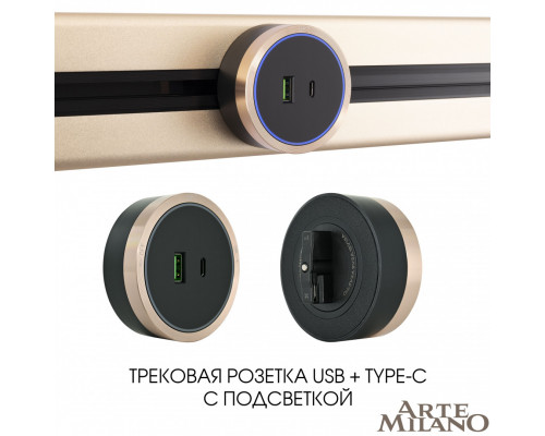 Дополнительное фото Трековая розетка Arte Milano Am-track-sockets 380066TS LED/USB-Type-C Gold: Купить в Интернет магазин освещения GCSVET.RU