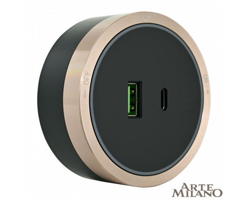 Дополнительное фото Трековая розетка Arte Milano Am-track-sockets 380066TS LED/USB-Type-C Gold: Купить в Интернет магазин освещения GCSVET.RU