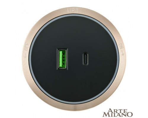 Дополнительное фото Трековая розетка Arte Milano Am-track-sockets 380066TS LED/USB-Type-C Gold: Купить в Интернет магазин освещения GCSVET.RU