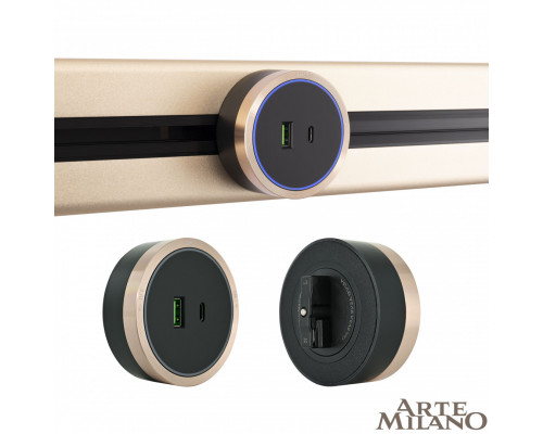 Основное фото Трековая розетка Arte Milano Am-track-sockets 380066TS LED/USB-Type-C Gold: Купить в Интернет магазин освещения GCSVET.RU