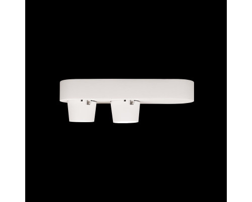 Дополнительное фото Накладной Светильник спот Loft IT Quiet 10320/2 White: Купить в Интернет магазин освещения GCSVET.RU