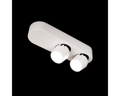 Дополнительное фото Накладной Светильник спот Loft IT Quiet 10320/2 White: Купить в Интернет магазин освещения GCSVET.RU