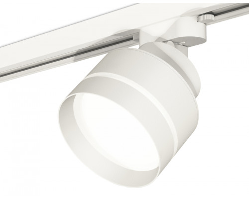 Основное фото Светильник трековый Ambrella Light Track System XT8101025 (A2524, A2105, C8101, N8461): Купить в Интернет магазин освещения GCSVET.RU