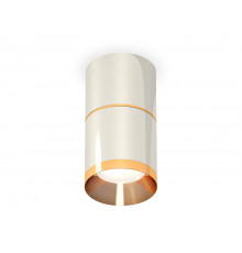 Светильник потолочный Ambrella Light Techno Spot XS7405061 (C7405, A2072, C7405, N7034)
