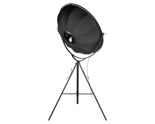 Дополнительное фото Напольный светильник Loft IT Studio 10301/L: Купить в Интернет магазин освещения GCSVET.RU