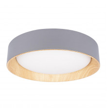 Светильник потолочный Loft IT Coin 10202 Grey