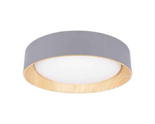 Основное фото Светильник потолочный Loft IT Coin 10202 Grey: Купить в Интернет магазин освещения GCSVET.RU