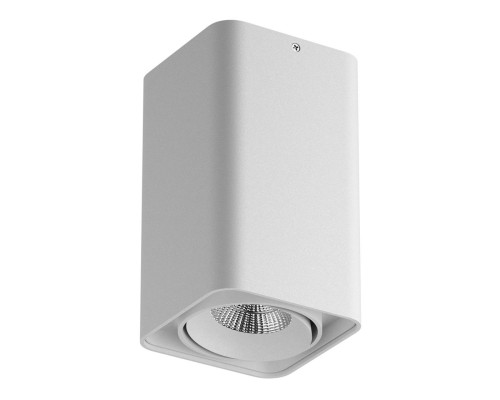 Основное фото Светильник потолочный LED Lightstar Monocco 052136: Купить в Интернет магазин освещения GCSVET.RU