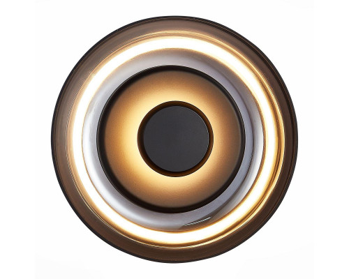 Дополнительное фото Светильник настенный LED ST Luce Lazio SL6002.401.01: Купить в Интернет магазин освещения GCSVET.RU