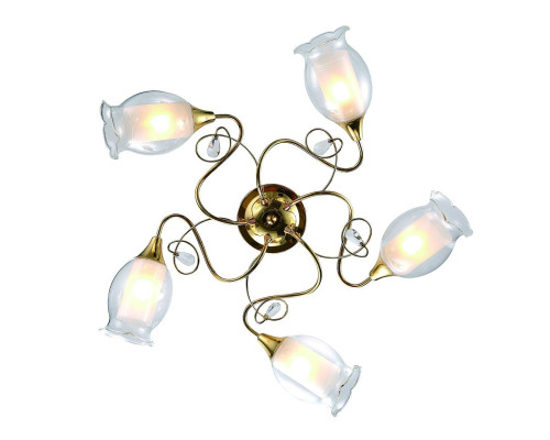 Основное фото Люстра потолочная Arte Lamp Mughetto A9289PL-5GO: Купить в Интернет магазин освещения GCSVET.RU