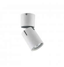 Светильник спот Vele Luce Carrisi VL8061S21
