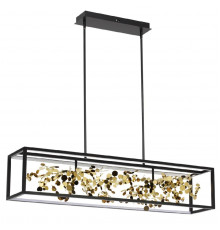 Люстра потолочная Odeon Light Bild 5065/65L