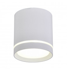 Светильник накладной Omnilux Capurso OML-102409-05