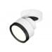 Основное фото Светильник спот Ambrella Light Techno Spot XM8101002 (A2228, A2105, C8101, N8113): Купить в Интернет магазин освещения GCSVET.RU