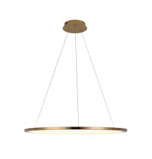 Светильник подвесной LED Loft IT Ring 10014L